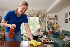 General cleaning services