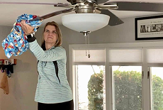 Fan cleaning